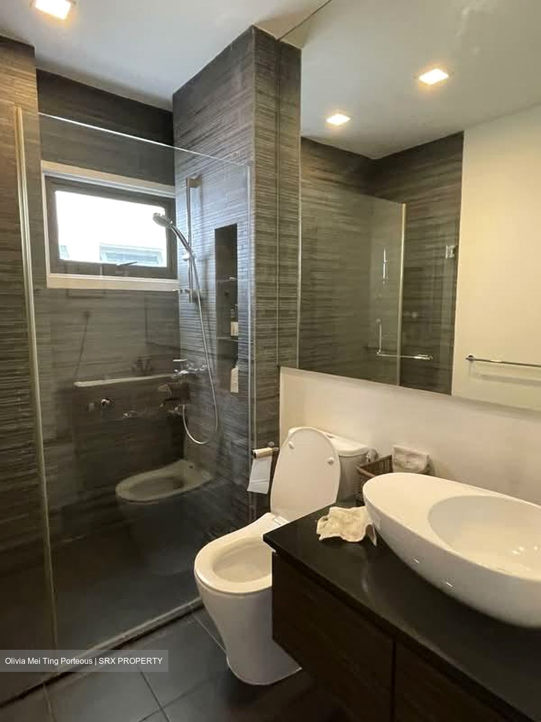 The Arcadia (D11), Condominium #579132951